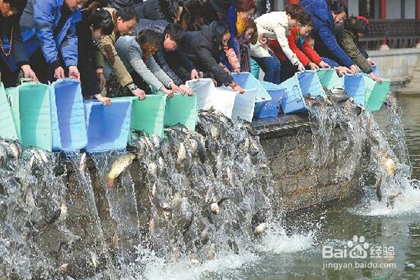 怎么放生 放生有哪些注意事项