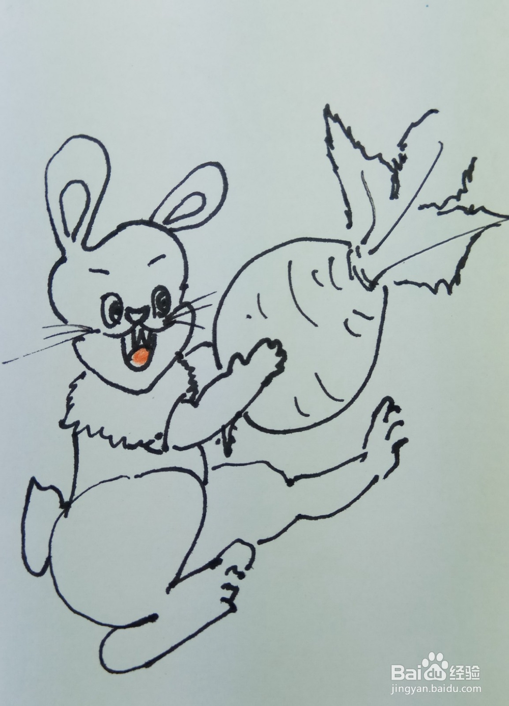 怎样画简笔画“小白兔爱萝卜”?