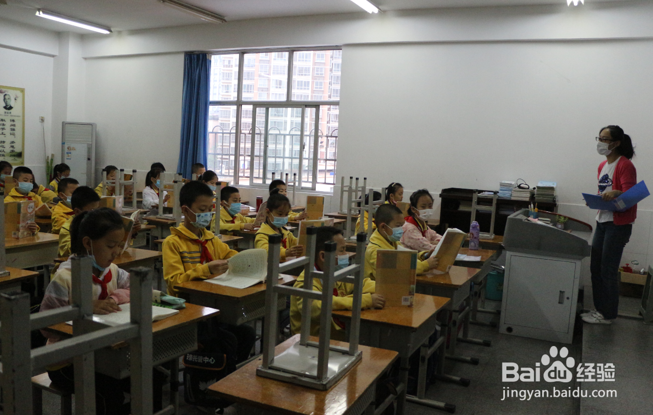 怎样开展环境日活动？