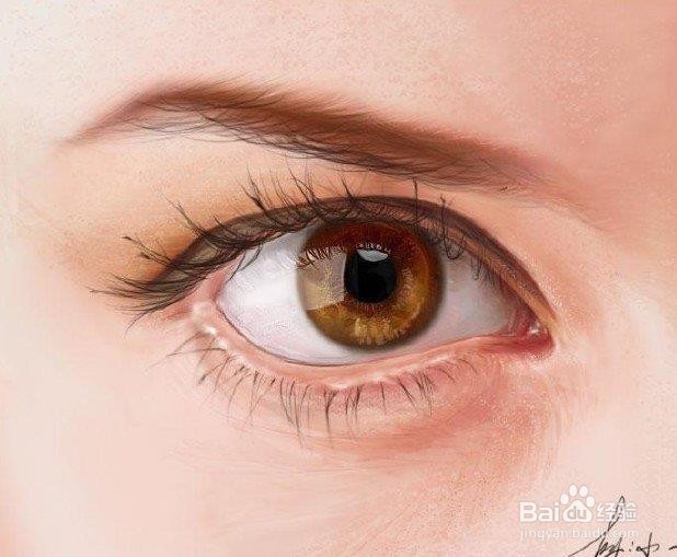 PS插画写实眼睛画法详细步骤图解教程