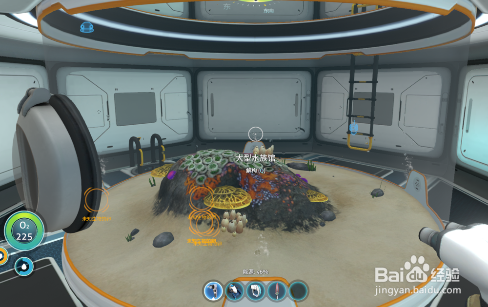 深海迷航怎么孵蛋