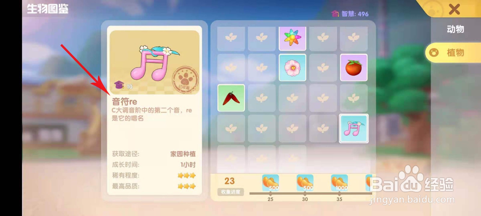摩尔庄园音符果实怎么用