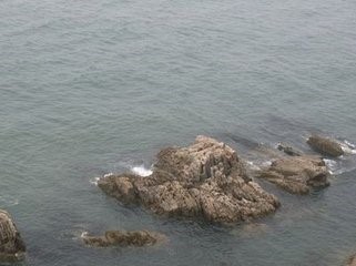 去老铁山风景区一日游
