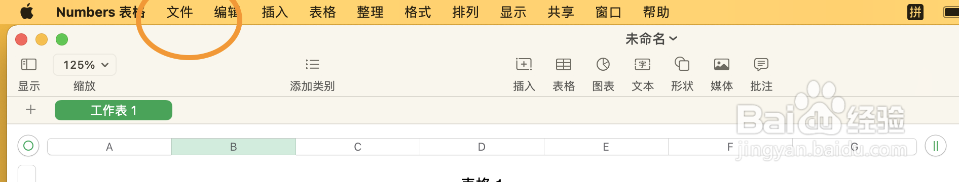 苹果电脑怎么转换格式为Excel