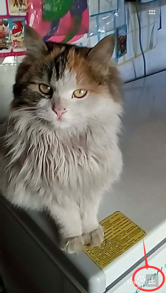 微信保存的小视频在哪里、缓存的视频和图片在哪