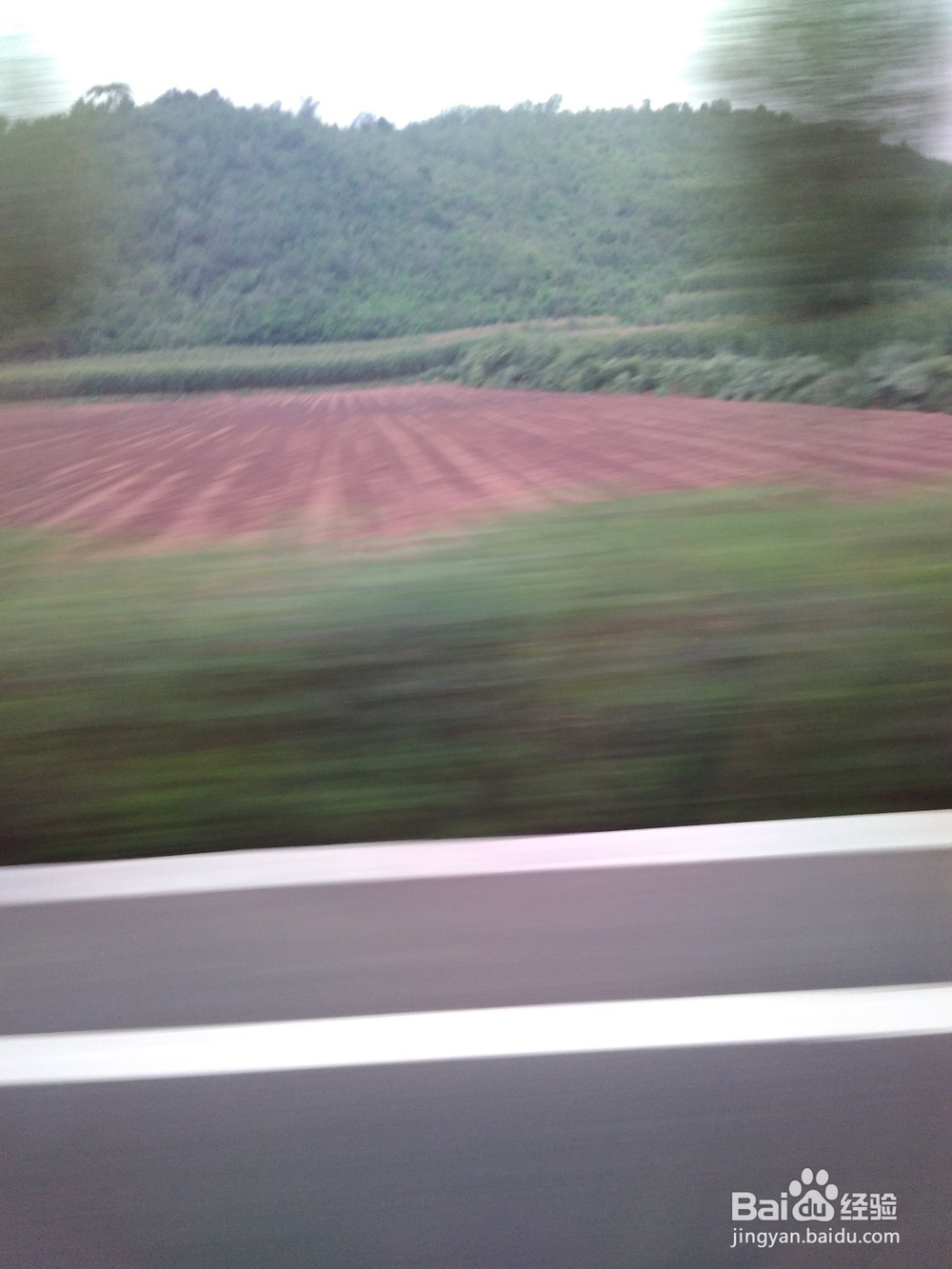 对于不是转基因玉米的煮法