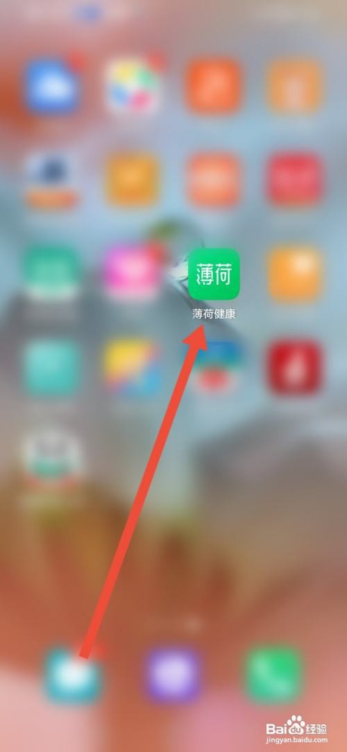 薄荷健康怎么查看自己的二维码名片