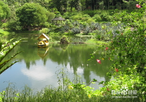 国庆应该注意的问题？