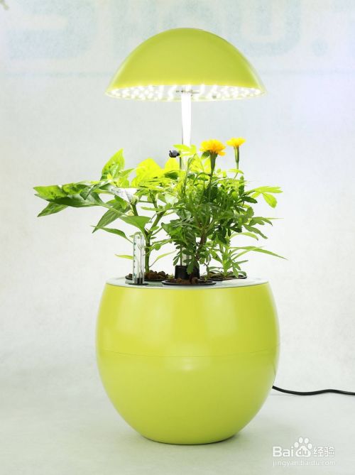 室内植物与人工照明 如何选择植物生长灯 百度经验