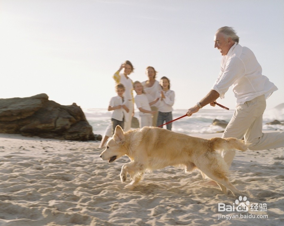 新年，家人催自己找对象怎么办