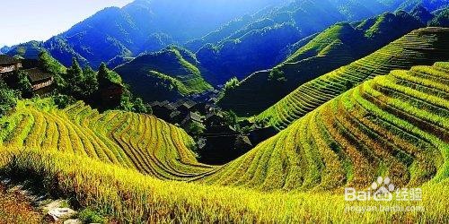 桂林有哪些好玩的地方