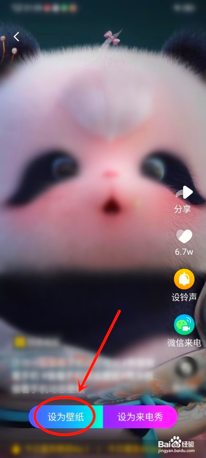 熊非熊动态壁纸怎么设置声音