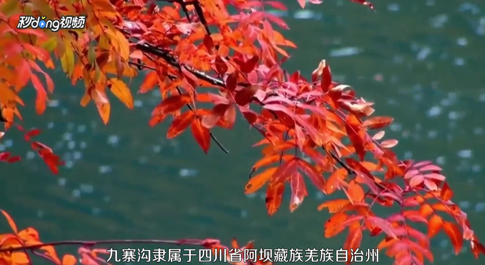 秋天有哪些地方可以看红叶