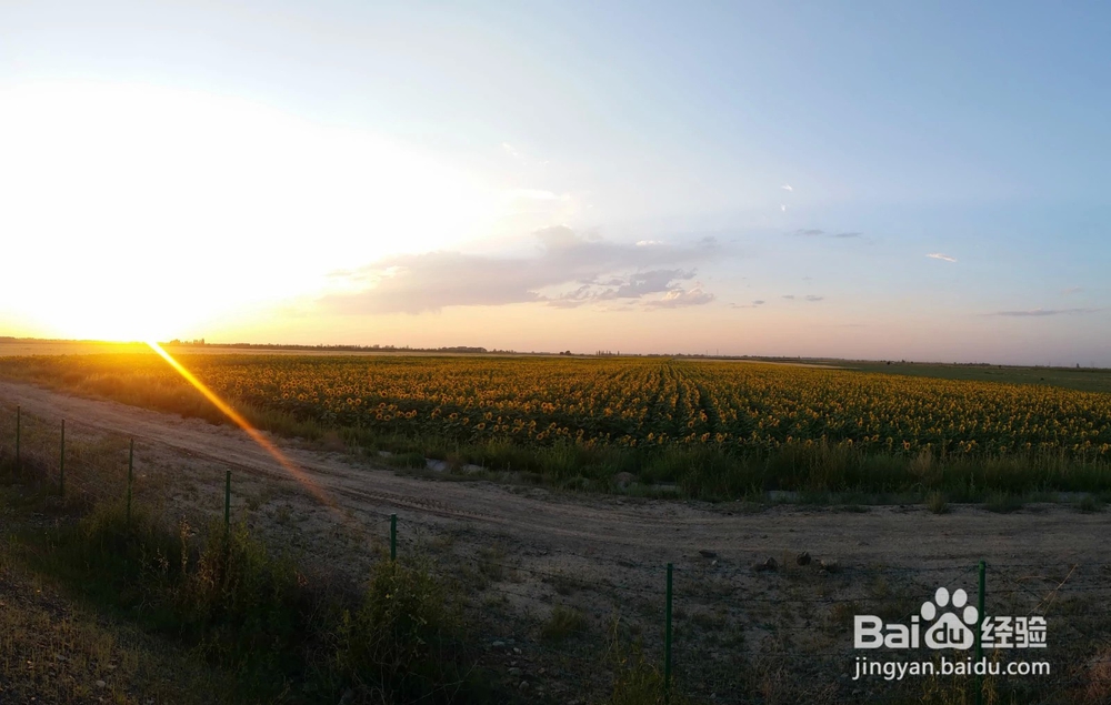 新疆避暑三日自驾游