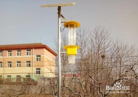 频振式杀虫灯在农业种植中可以得到普及吗?