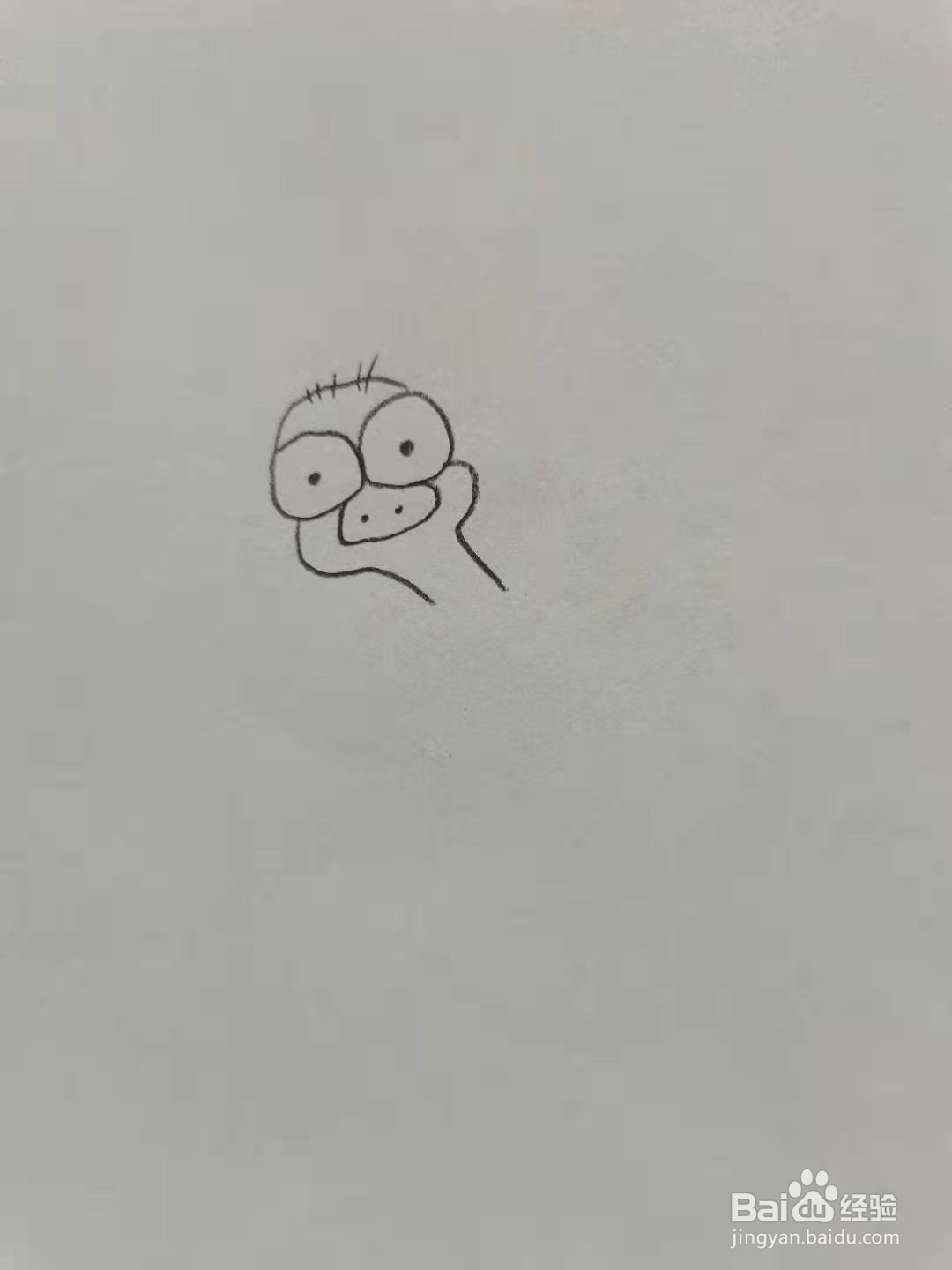 卡通鸵鸟怎么画