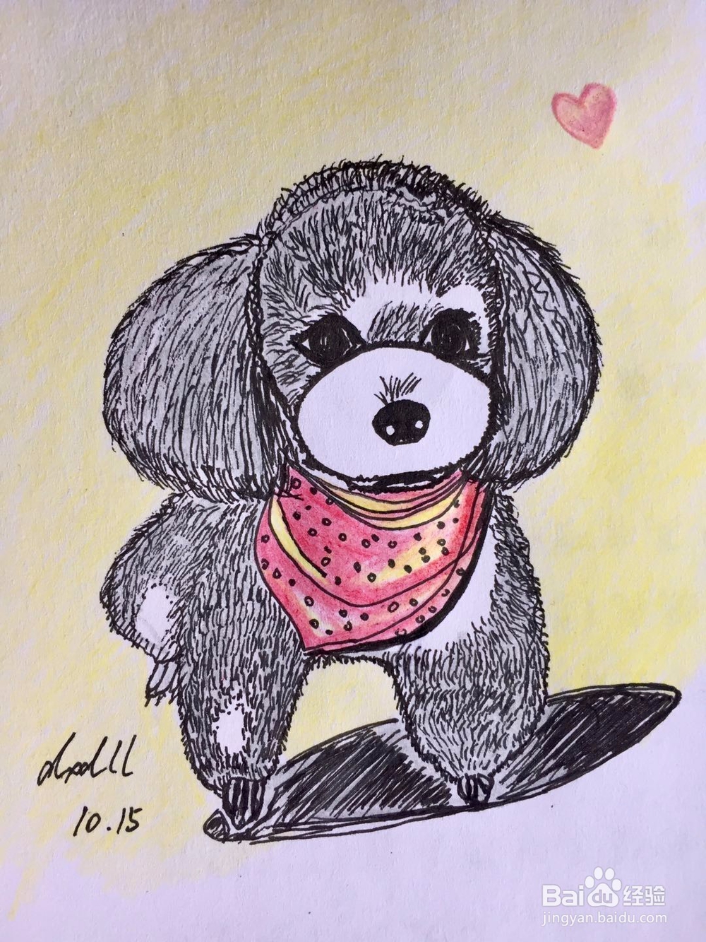 茉莉彩铅手绘之萌宠泰迪