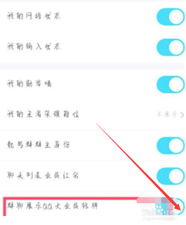 怎么设置群聊展示QQ大会员铭牌