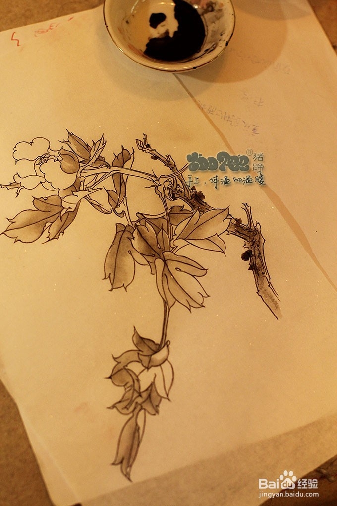 国画工笔花卉技法，起稿上色步骤图以及笔的选择