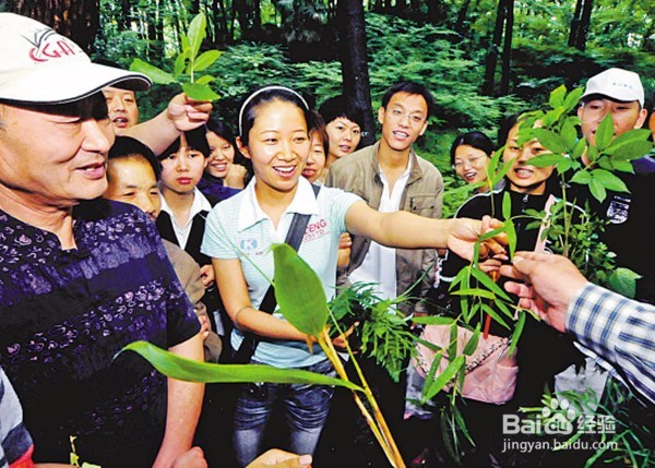 端午节错过了这7件好玩的事,会后悔的!