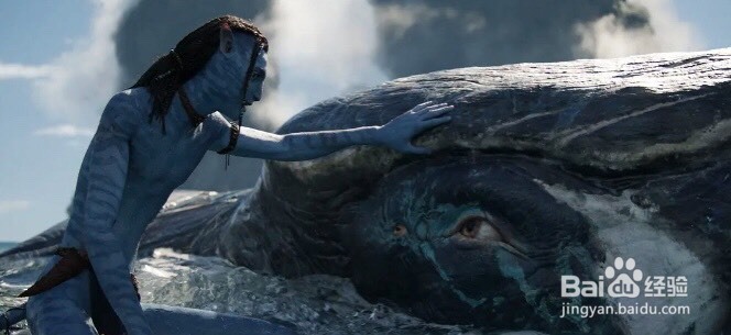 《阿凡达2》的纳美人，为何能与潘多拉的海洋生物建立联系？