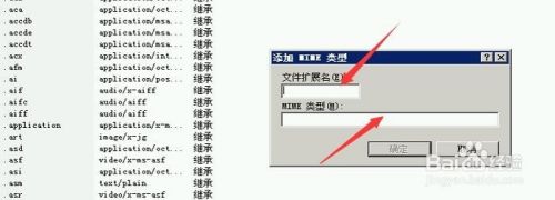 IISMP4Ƶʽ