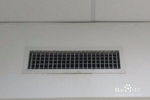 万年青叶子发黄怎么办？