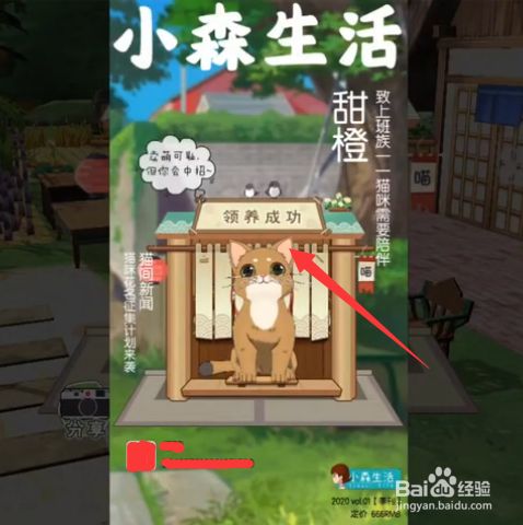 小森生活怎么设置猫在家