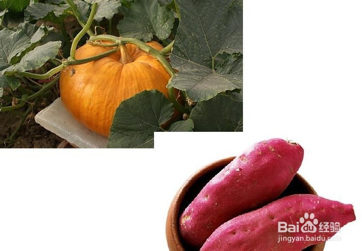 吃哪些食物气色更好