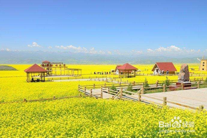国内旅游最值得去的地方