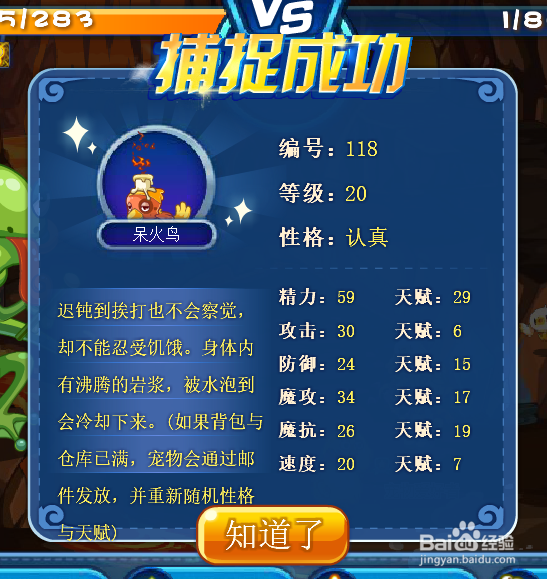 呆火鸟怎么获得