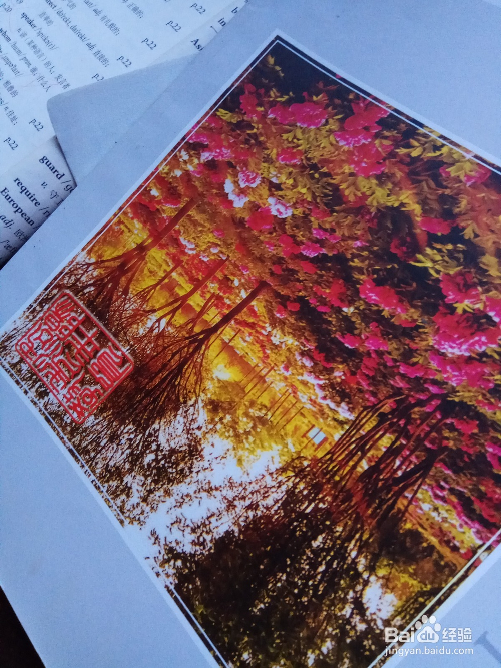 什么样的孩子适合学跳舞