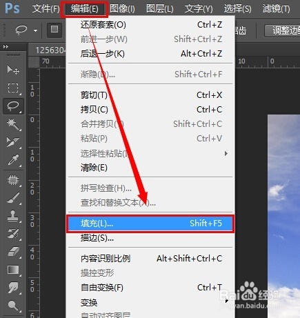 PHOTOSHOP简易教程 利用填充去掉照片中杂物