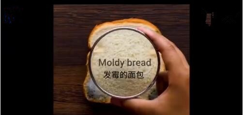 如何用没汽的汽水让花儿复活