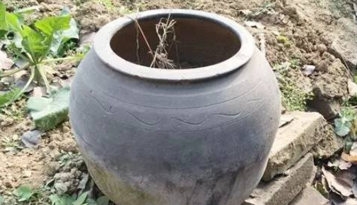 容器有什么