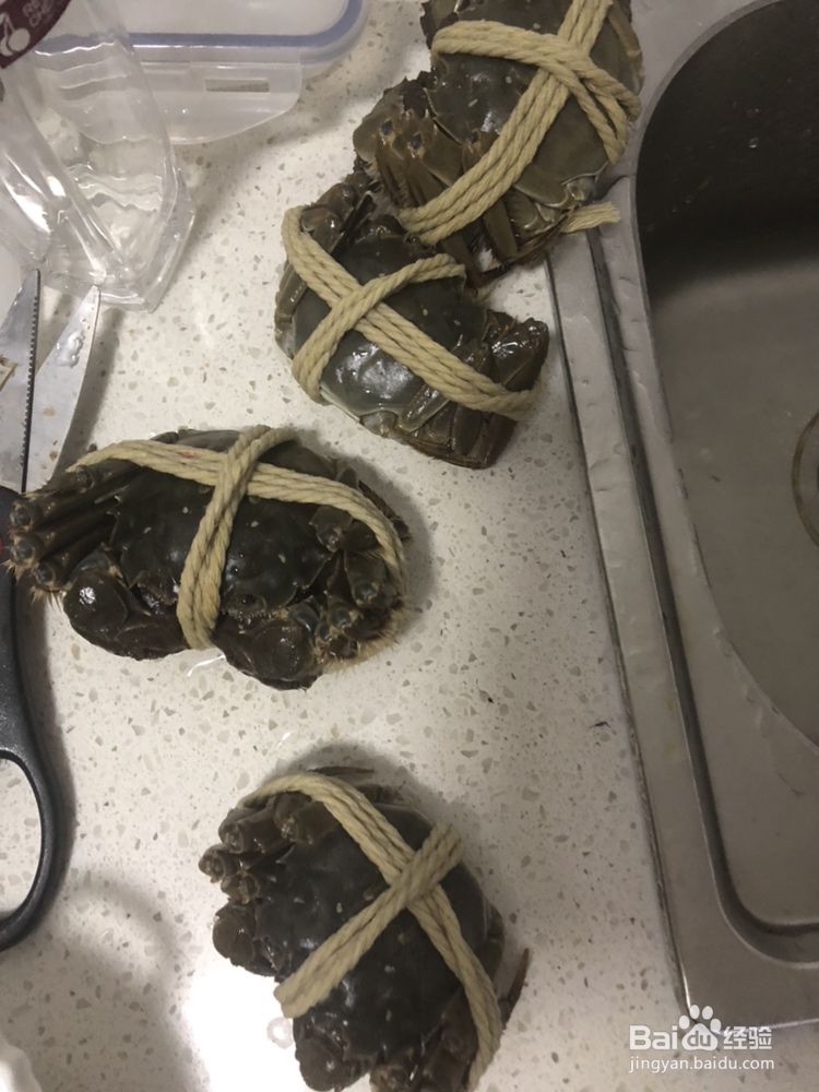 自己做大闸蟹海鲜美食