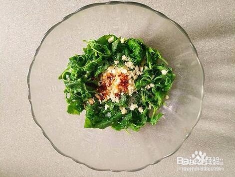 桑叶怎么做好吃听