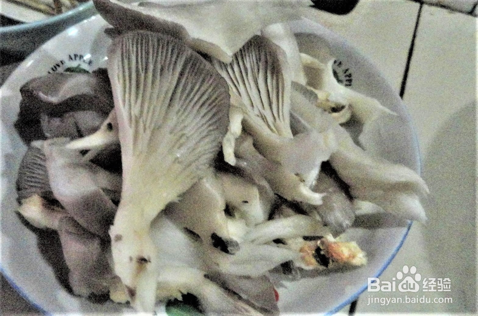 魔芋平菇煮嫩鸡的做法？