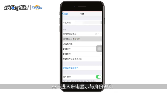 苹果手机如何屏蔽骚扰电话