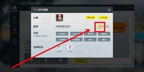 终结战场中怎么修改昵称