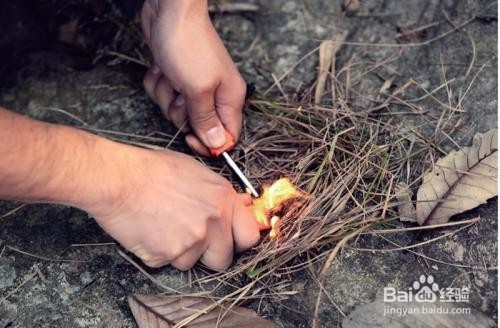 野猪攻击怎么办