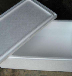 金鱼身子歪了怎么救