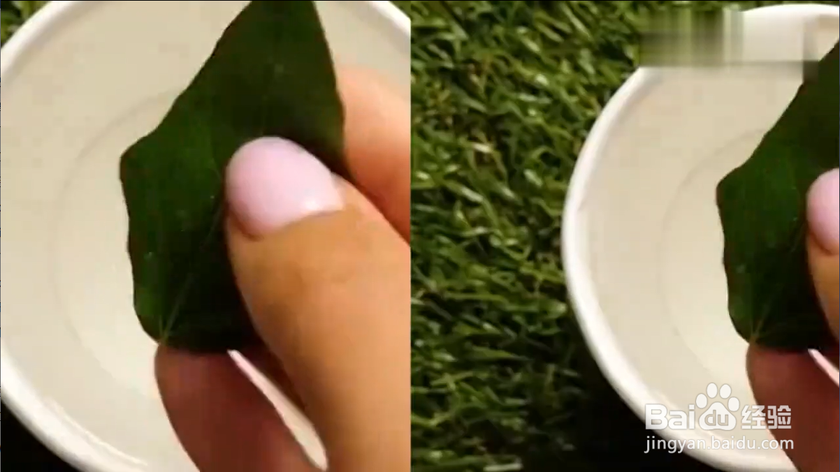 怎样学会野外生存小技巧