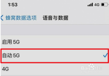 iphone13的5g开关在哪
