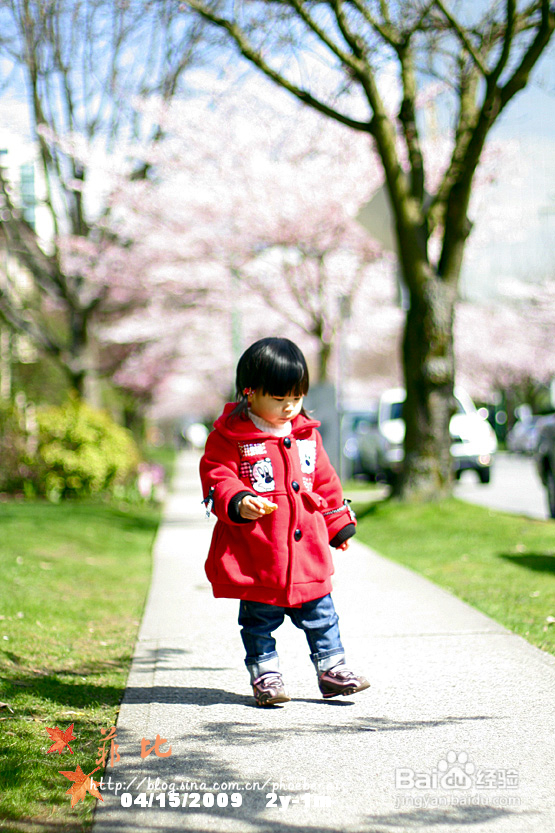 樱花树下的婴花(组图)