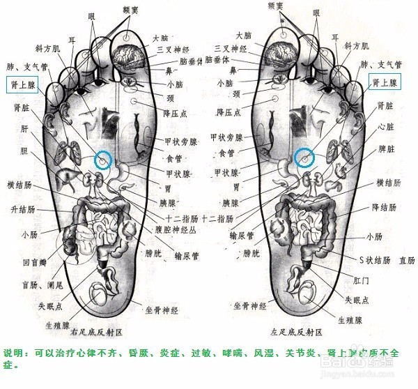 想提神醒脑怎么办?