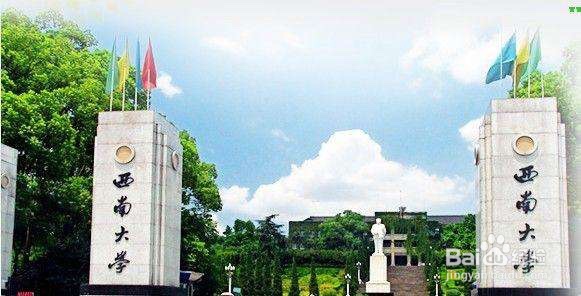 公费师范生怎么报名