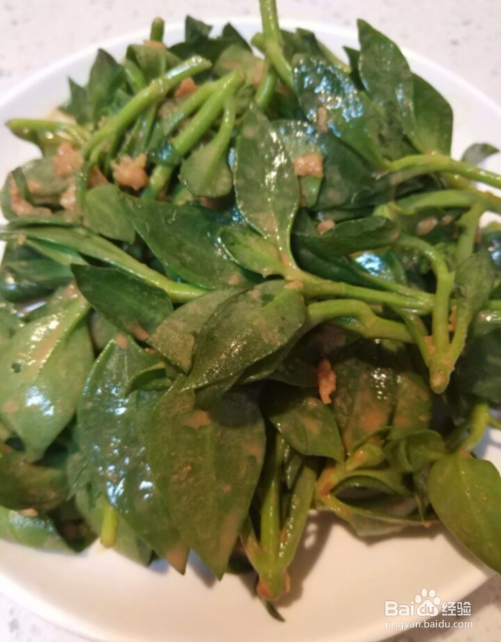 如何麻汁穿心莲？
