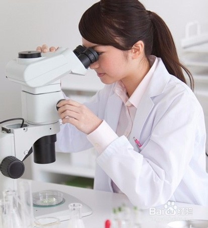 桑叶茶加工工艺