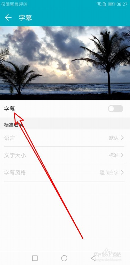 华为荣耀9X手机的字幕功能怎样打开